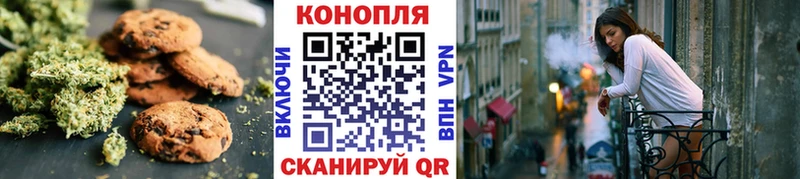 omg как войти  Курчатов  Canna-Cookies марихуана 